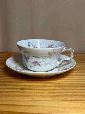 Antique Theodore Haviland Limoges Saucer Schleiger 148k + Chipped Cup Bonus